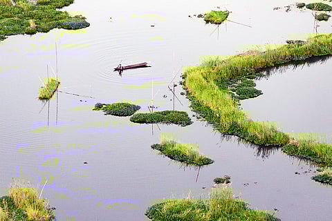 लोकटक झील भारत की सबसे महत्वपूर्ण मीठे पानी की झीलों में से एक है, जिसे रामसर साइट का दर्जा प्राप्त है। फोटो: आईस्टॉक