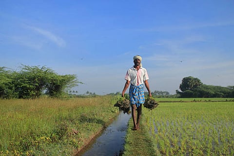 गर्मी और काम: लंबे समय तक धूप में काम और अत्यधिक गर्मी स्थायी क्रोनिक किडनी रोग (सीकेडी)  के खतरे से जुड़े है।