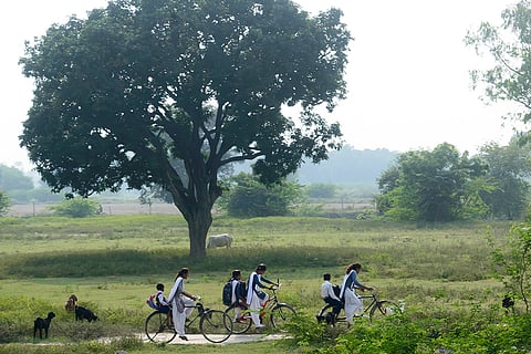 प्रतीकात्मक तस्वीर: आईस्टॉक