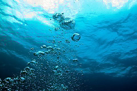 समुद्री कार्बन चक्र को समझने के लिए नया तीन-लूप फ्रेमवर्क प्रस्तावित किया गया।