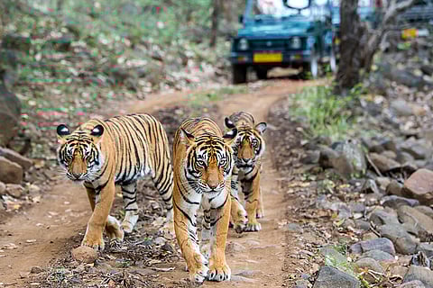 फोटो: आईस्टॉक