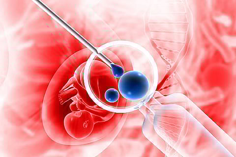डब्ल्यूएचओ ने देशों से प्रजनन सेवाओं को स्वास्थ्य प्रणाली में शामिल कर उन्हें किफायती, न्यायसंगत और अधिकार-आधारित बनाने की अपील की।