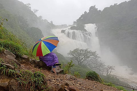 फोटो साभार: आईस्टॉक