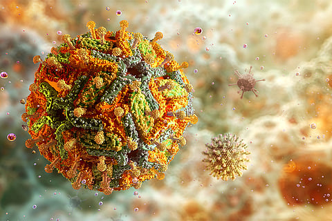 येलो फीवर वायरस की बेहद साफ हाई-रिजॉल्यूशन तस्वीरों ने उसकी छिपी संरचना का राज खोला है, जो भविष्य में बेहतर टीके बनाने में मददगार साबित हो सकता है; फोटो: आईस्टॉक