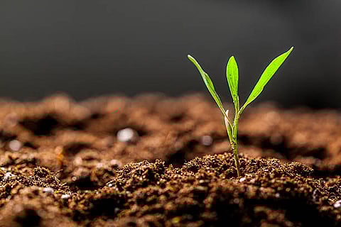 दो से तीन सेमी उपजाऊ मिट्टी बनने में करीब 1,000 साल लगते हैं, इसलिए मिट्टी का नुकसान बेहद गंभीर खतरा है।