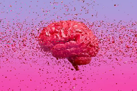 माइक्रोप्लास्टिक दिमाग में सूजन और कोशिकाओं को नुकसान पहुंचा सकते हैं, जिससे अल्जाइमर और पार्किंसन जैसी बीमारियां बढ़ सकती हैं।