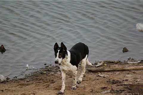 प्रतीकात्मक तस्वीर: आईस्टॉक