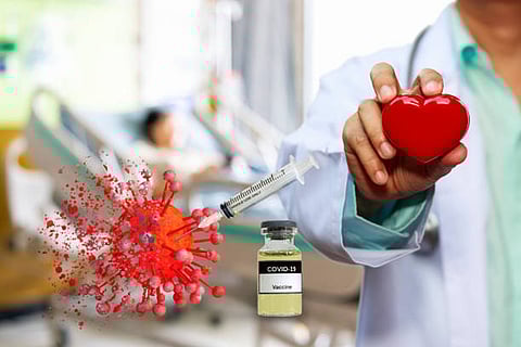 स्टैनफोर्ड वैज्ञानिकों ने दो-चरणीय प्रतिरक्षा प्रतिक्रिया पहचानी, जिसमें मैक्रोफेज और टी-कोशिकाएं सूजन बढ़ाती हैं दिल की मांसपेशियों में नुकसान करती