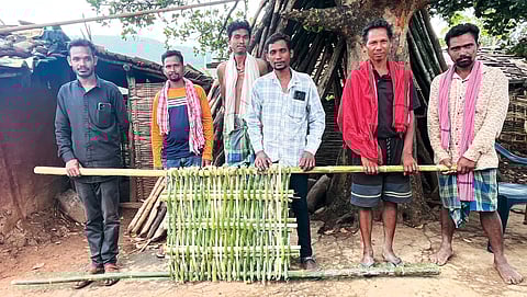 पल्की गांव को 2023 में सामुदायिक वन अधिकार प्रदान किए गए थे, जिसके बाद गांव वालों ने बांस की कटाई और बिक्री शुरू कर दी है, जो ओडिशा का एक महत्वपूर्ण वन उत्पाद है