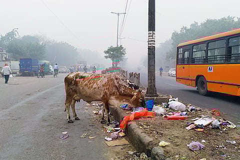 प्रतीकात्मक तस्वीर: आईस्टॉक