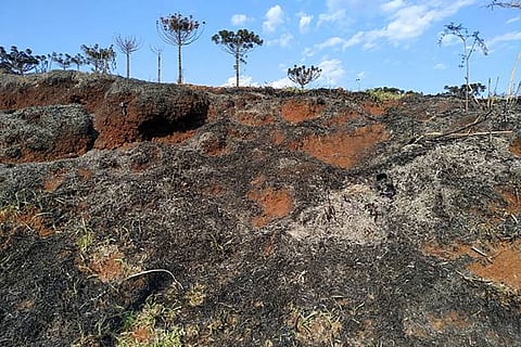 वैज्ञानिकों का अनुमान है कि जलवायु परिवर्तन के कारण साल 2070 तक आग के बाद मिट्टी अपरदन 28 फीसदी तक बढ़ सकता है।