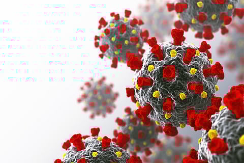 फोटो: आईस्टॉक