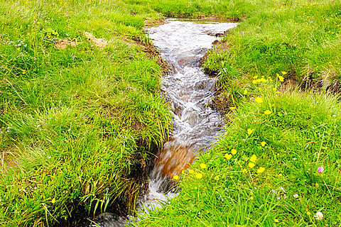 हरियाणा में भूजल दोहन 136 प्रतिशत से अधिक हो चुका है, जिससे जल संरक्षण और प्रबंधन की गंभीर आवश्यकता स्पष्ट होती है।