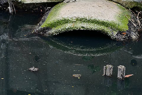 प्रतीकात्मक तस्वीर: आईस्टॉक