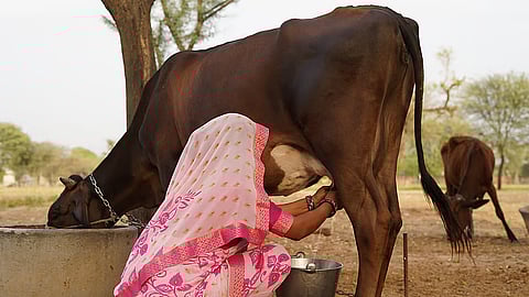 फोटो : आईस्टॉक