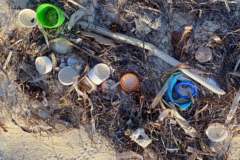 प्रतीकात्मक तस्वीर: आईस्टॉक