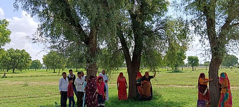 नौखा दैया गांव में खेजड़ी बचाने के लिए ग्रामीणों ने एकजुटता दिखाई। फोटो: कान्हा राम गोदारा