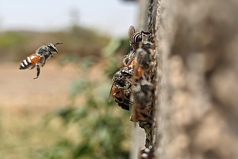 फोटो: आईस्टॉक