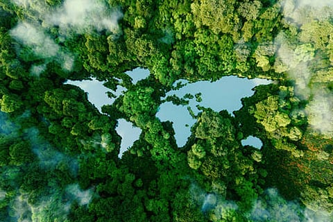 पृथ्वी की हरियाली का केंद्र साल भर उत्तर-दक्षिण और पूर्व-दिशा में बदलता है, मौसम और पौधों की वृद्धि दिखाता है।