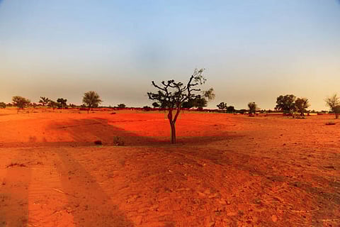 वैश्विक तापमान तेजी से बढ़ रहा है, 2015 के बाद वृद्धि दर लगभग दो गुना हो गई, रिकॉर्ड गर्म साल सामने आए।