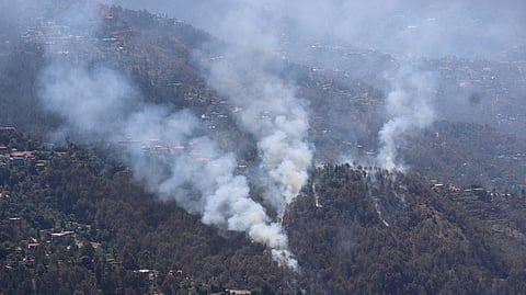 शिमला के जंगलों में लगी आग। फोटो: रोहित पराशर