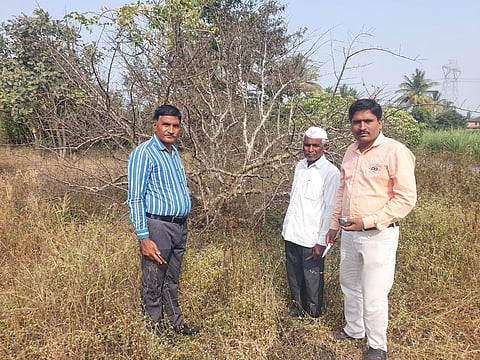 मध्यप्रदेश के मुरैना जिले के बीहड़ों में जन्मे जाकिर हुसैन विलुप्त होती वनस्पति गुग्गल को बचाने की कोशिशों में जुटे हैं। फोटो: राकेश मालवीय