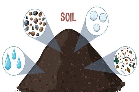 बढ़ते तापमान व सूखे के दौरान सूक्ष्मजीव पुराने और स्थिर कार्बन को भी तोड़ने लगते हैं, जिससे लंबे समय से सुरक्षित कार्बन भी बाहर निकल सकता है।