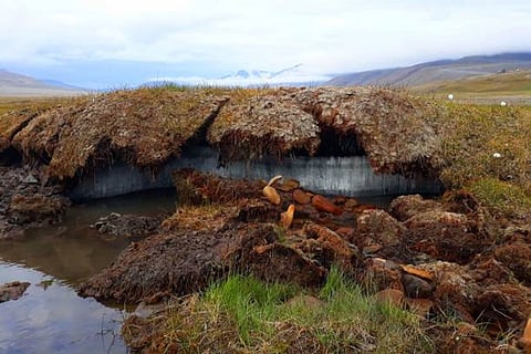 पूरी दुनिया के पर्माफ्रॉस्ट में लगभग 1,700 अरब टन कार्बन है मौजूद है, जो वातावरण से तीन गुना अधिक है।