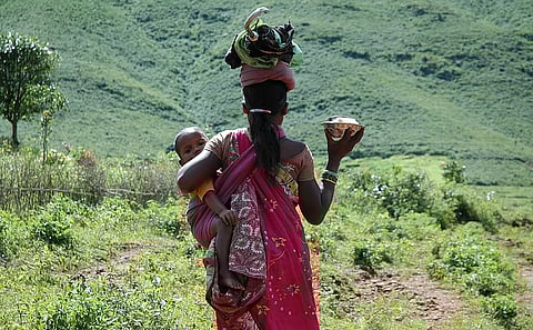 फोटो : कुमार संभव श्रीवास्तव/सीएसई