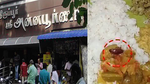 திருப்பூரில் உள்ள பிரபல சைவ உணவகத்தில் சாம்பாரில் கரப்பான் பூச்சி இருந்ததால் உணவருந்திய பொது மக்கள் அதிர்ச்சி