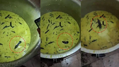 சட்னியில் நீந்திய எலி... பல்கலைக்கழக விடுதியில்
சுகாதாரச் சீர்கேடு...