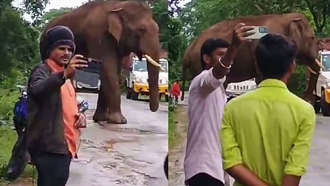 ஆபத்தை உணராமல் செல்பி எடுத்த இளைஞர்கள்