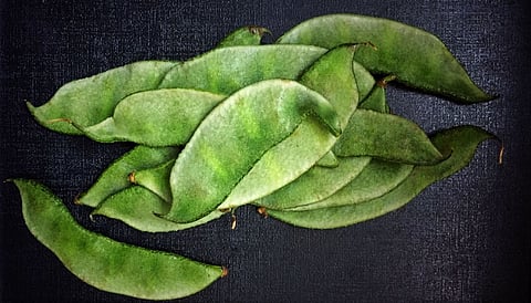 benefits of green beans