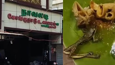 “மட்டன் குழம்பில் இருந்த தேரை” - உணவருந்த சென்ற குடும்பத்திற்கு..
ஹோட்டல் கொடுத்த அதிர்ச்சி!