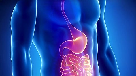 உடலில் யூரிக் ஆசிட் அதிகமானால்.. என்ன நடக்கும்னு தெரிஞ்சிக்கோங்க!