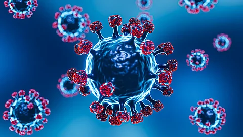 corona virus