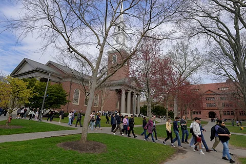 harverd university