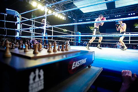 chess boxing