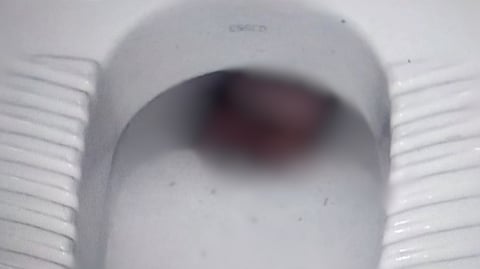 new born baby killed by mother