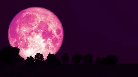 strawberry-moon