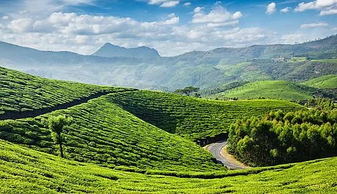 munnar must visit spots