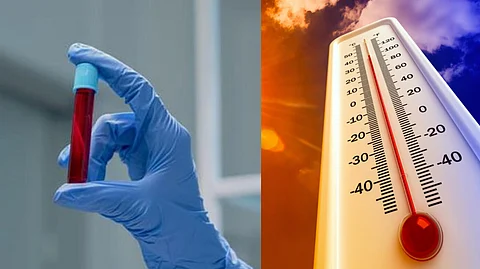 which blood withstand heat