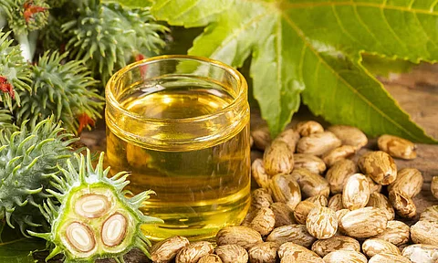 ஆமணக்கு எண்ணெய்: அழகு மற்றும் ஆரோக்கியத்துக்கு 7 சூப்பர் பயன்கள்!