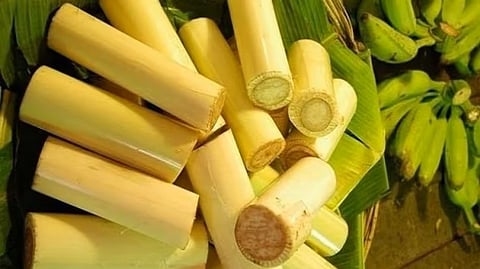 banana stem health benefits