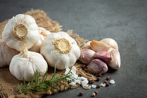 Medicinal benefits of garlic