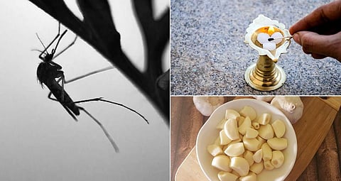 how to control mosquito at home