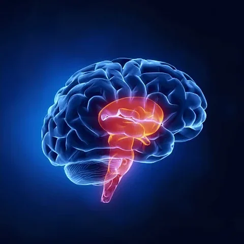 brain stem stroke symptoms in tamil