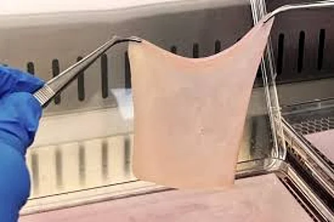 artificial skin created by lab