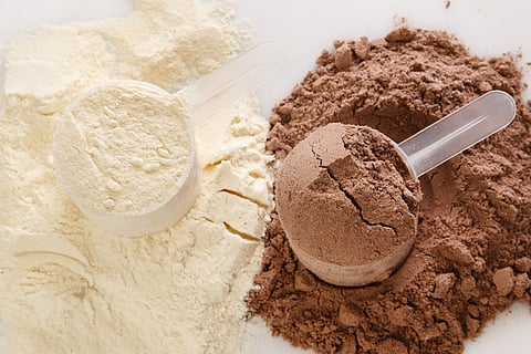 protein powders