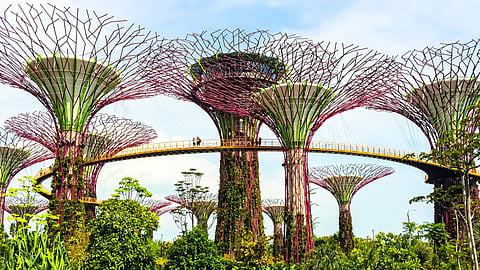 singapore